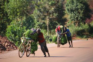 afrique artemisia vélo cyclotourisme médecine environnement éducation ONG vélo afrique